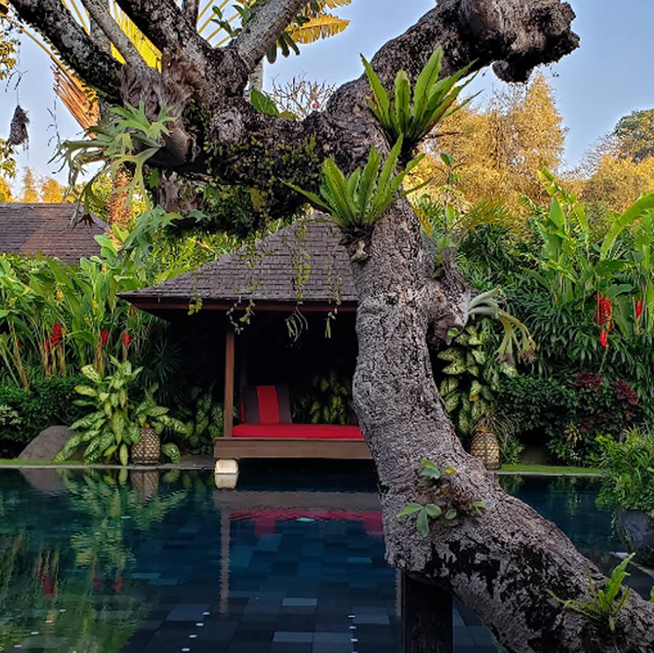 Cocoon Resort