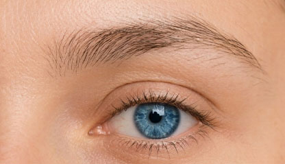 Image from eye and thin brow.